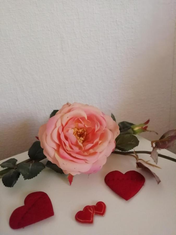 Ferienwohnung Nico Stadtilm ภายนอก รูปภาพ